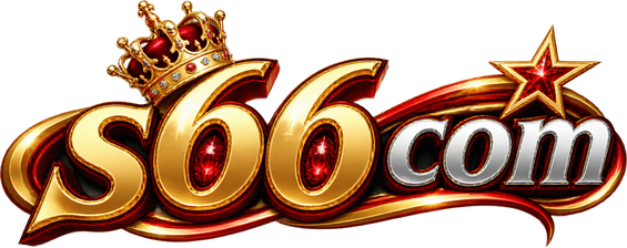 s66 com